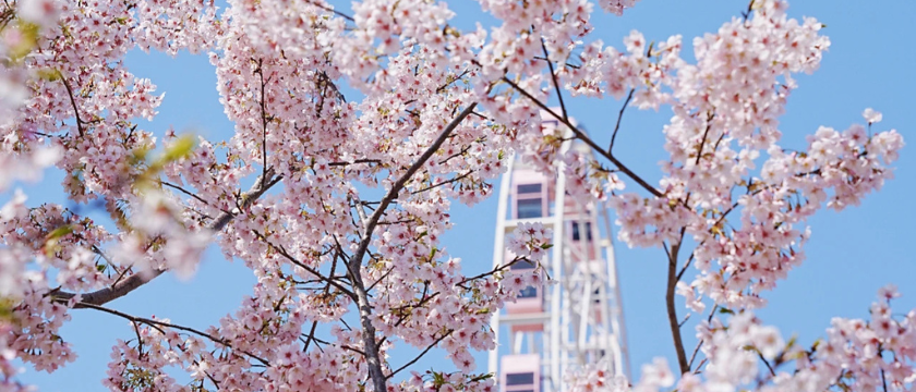 PRIMAVERA NA CHINA: TRADIÇÃO, PAISAGENS E TRANSFORMAÇÃO – 1ª EDIÇÃO